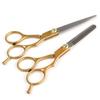 Professional 6.0 Inch Stainless Steel Barber Hair Cutting Thinning Scissor Shears Hairdressing Set