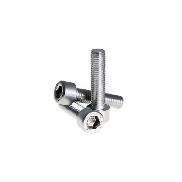 M2X5 Allen Screw Din912 A2 10-Piece