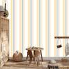 Classic Stripes Wallpaper for Living Room and Bedroom 50x1000
