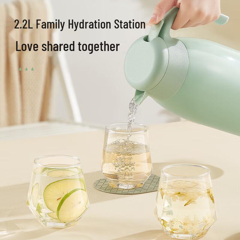 RELEA 316L Stainless Steel Press-Type Thermal Carafe