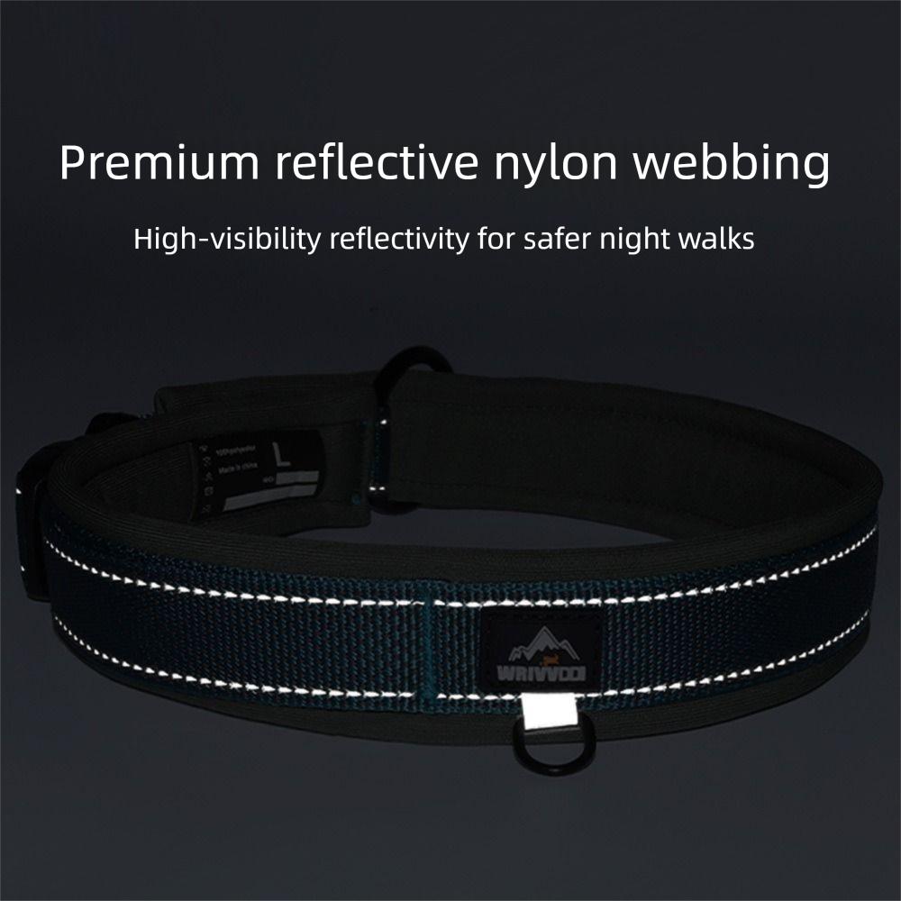 Elastic Webbing Pets Collar for Medium Large Dogs No Pull Dog Safety Buckle Chain  Pet Accessories
