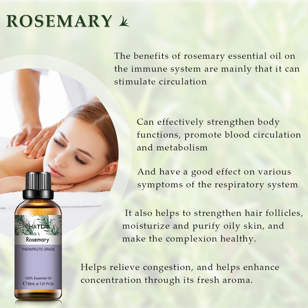 PHATOIL 3 шт. Набор эфирных масел Подарочная коробка Эвкалипт Чайное дерево Эфирное масло розмарина Ароматерапия для свежего воздуха Диффузор Стерилизация Облегчение тела