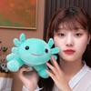 Axolotl Plush Doll: Multi-Color Four-Cornered Style