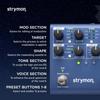 Strymon synthesis reverb machine “NIGHTSKY” []