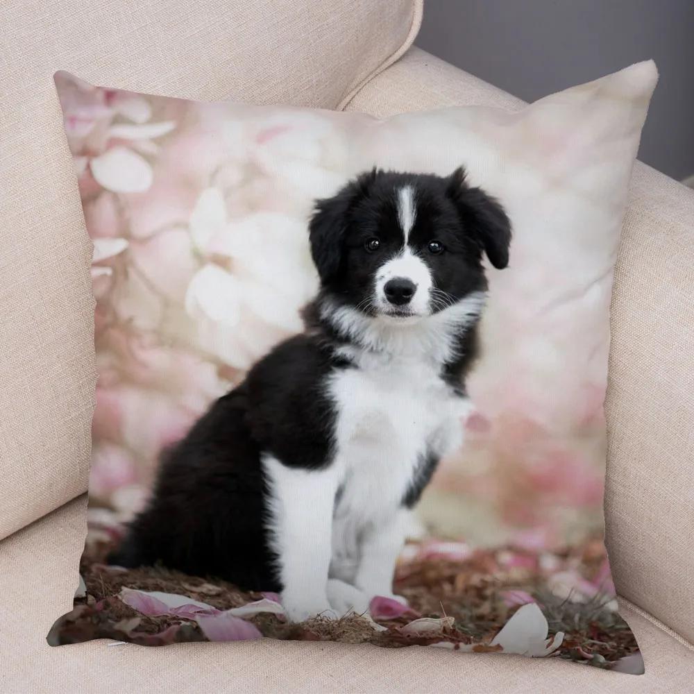 Soft Plush Cute Pet Animal Cushion Cover Scotland Border Collie Pillowcase for Sofa Car Decor Dog Printed Pillow Case