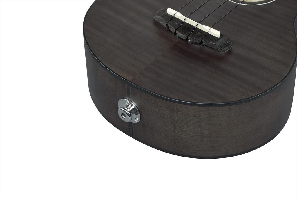 IBANEZ Concert Size Electric Ukulele Ice [Black Flat] UEW12E-BIF