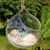 Hanging Transparent Ball Glass Flower Planter Vase Terrarium Landscape Container