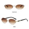 Street Style Punk Shades Cut-Edge Y2K Eyewear Fashion Hip-Hop Sun Glasses  for Women