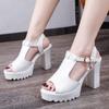 2024 Women's Shoes Peep Toe Women's Sandals Summer Platform Dress Sandals Women Crystal Buckle Strap High Heels New Shoes Ladies