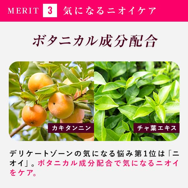 Bodyplex Whip Care EX Delicate Zone Soap Foam Rose Geranium Scent 150ml &