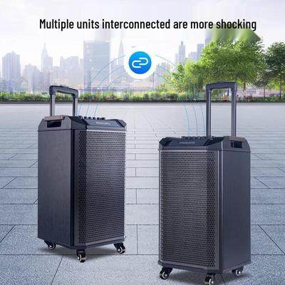 Philips Профессиональный Портативный Bluetooth Акустический Комплекс CN вилка (адаптер в комплекте) (Китайская версия)