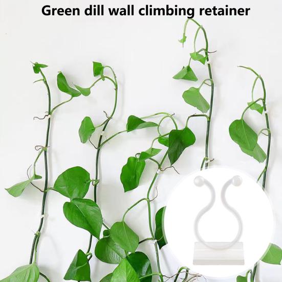 50Pcs Vine Fixing Clip Punch Free Self-adhesive Wall Climbing Plant Branch Binding Fixer Balcony Supplies