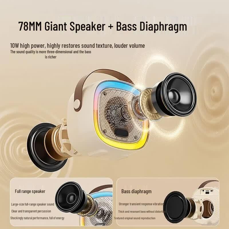 Bluetooth-караоке-колонка SooPii BT30 с двумя микрофонами (Китайская версия)