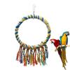 Pet Supplies Parrot Bird Swing Colorful Cotton Rope Chewing Perch Bird Cage Accessories