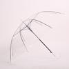 Lilang 16-Rib Straight Transparent Umbrella