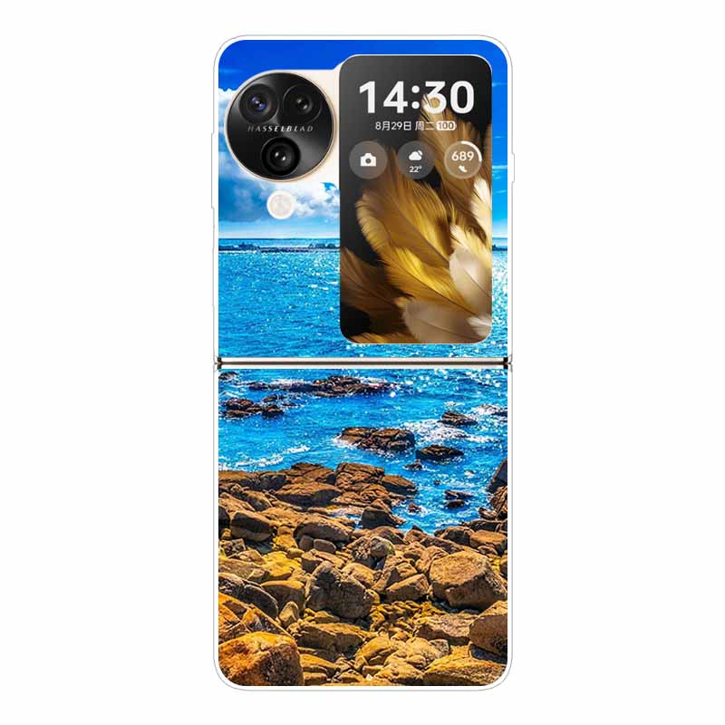 Для Find N3 Flip 5G Чехол Милый Прозрачный Жесткий ПК Задние Крышки для Oppo Find N3 Flip Расписные Корпуса Телефона N 3 Flip Funda Capa