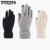 Warm Touch Screen Gloves for Autumn and Winter Men's and Women's Thick Velvet Gloves Anti Cold Jacquard Gloves Knitted Gloves