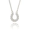 Alivaluxe Women's Horseshoe Necklace with Moissanite and Surgical Stainless Steel, Perfect Gift for an Anniversary, Size 38-45cm