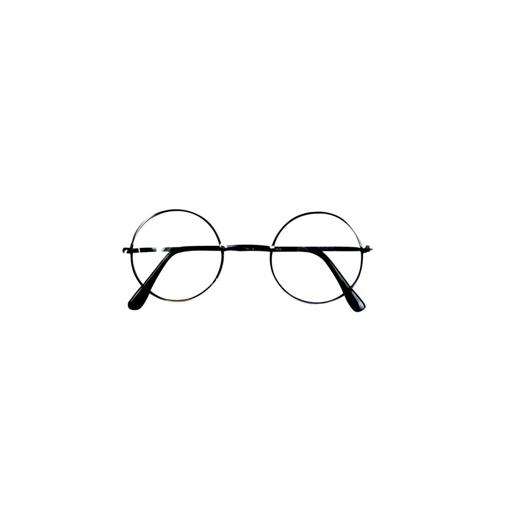 HARRY POTTER Novelty Glasses