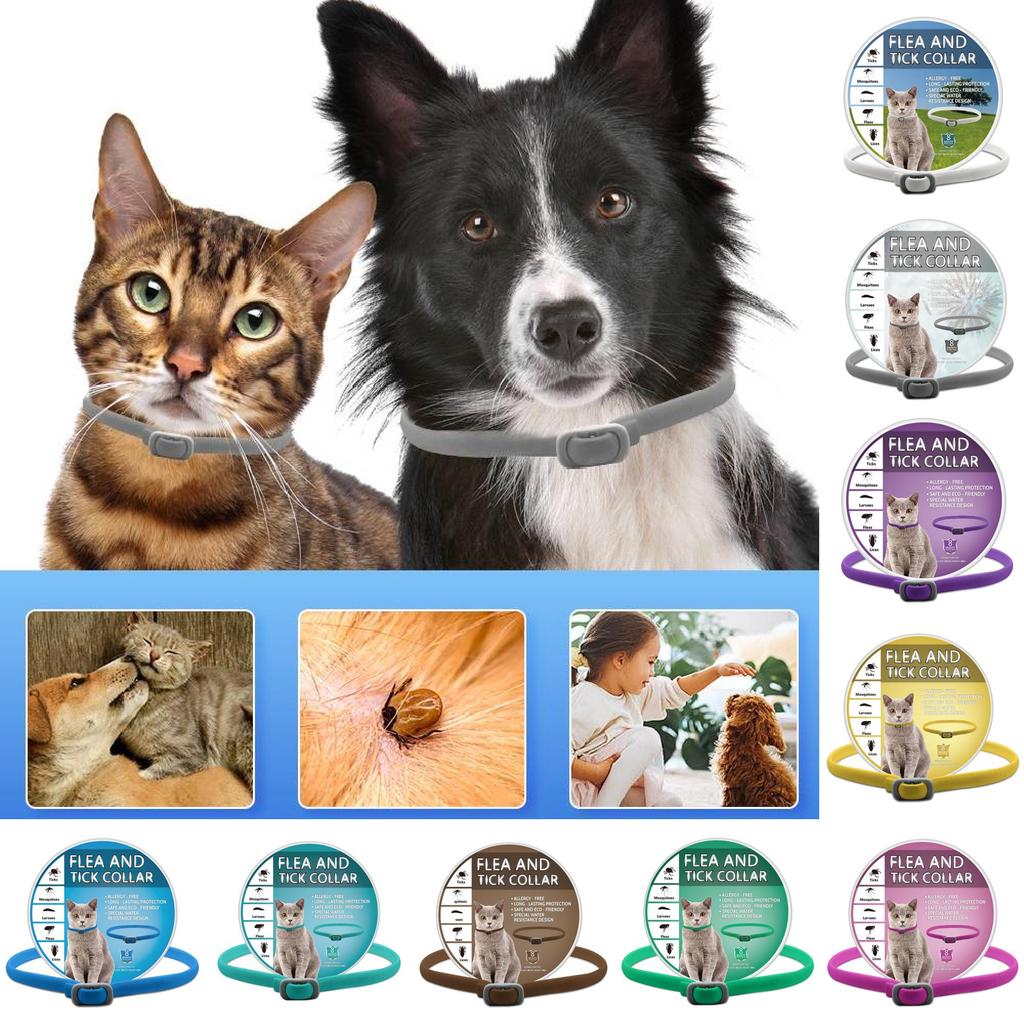 Tick Flea Pet Collar For Dogs And Cats Adjustable Size Eco Friendly Material Pvc