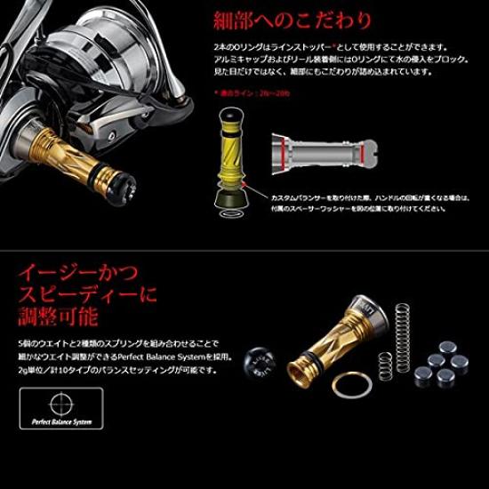 LIVRE 10579 Custom Balancer Type2 Daiwa THEORY Series C3 Type Titanium X Blue 1003~3012