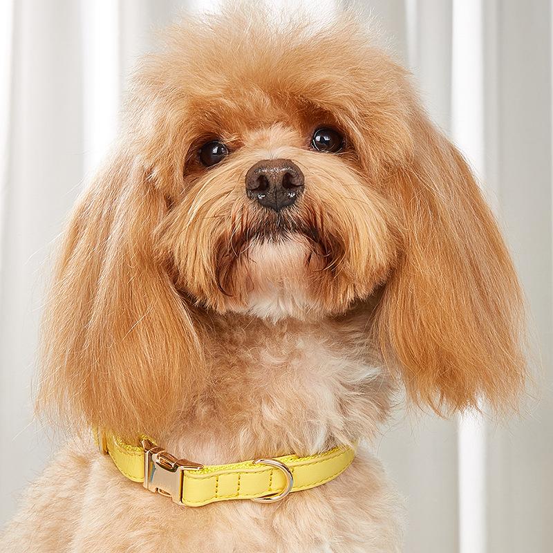 Ошейник для собак, ошейник для кошек в стиле ретро конфетного цвета, ошейник для маленьких и средних собак, ошейник для домашних собак