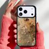 Чехол для телефона с картиной в стиле Ренессанс для iPhone 17 Air 16e 15 14 13 Pro Max Задняя крышка для 12 11 Pro Coque