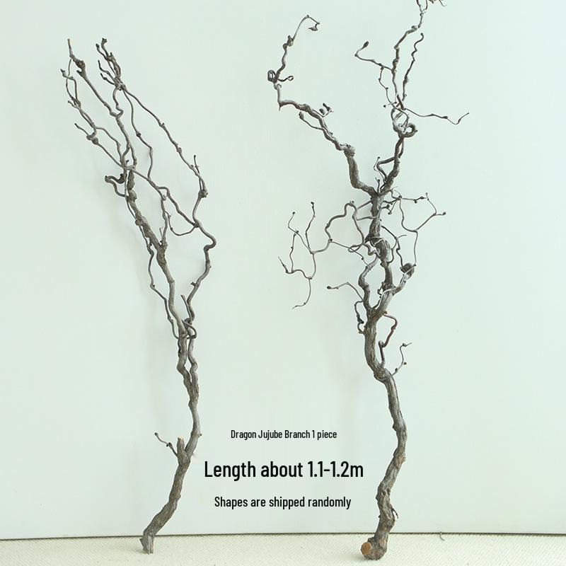Изогнутые ветки зизифуса (ююбы) для ваби-саби икебаны и дзен-искусства