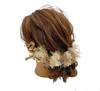 Dried Flower Hair Ornament Headdress White Gold Ceremony Wedding Kimono Gypsophila Kimono Hakama Dress Hair Accessory Coming-of-age Long-sleeved