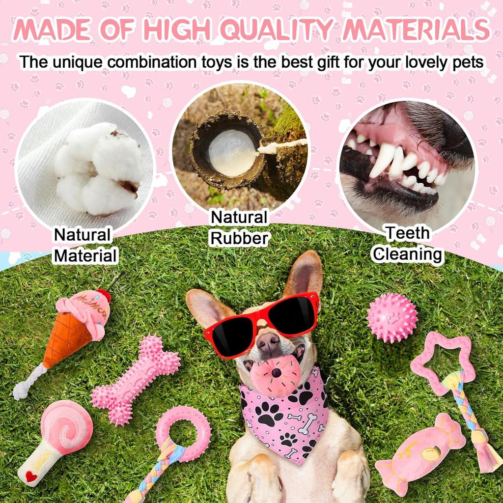 14 Pack Puppy Teething Toys, Chew Toys for Small Dogs Puppy Toys Pink Dog Stuff with Soft Rubber Balls and Colorful Ropes for Small Breed Interactive