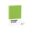 Новый чехол для карт Pantone (Зеленый 15-0343)
