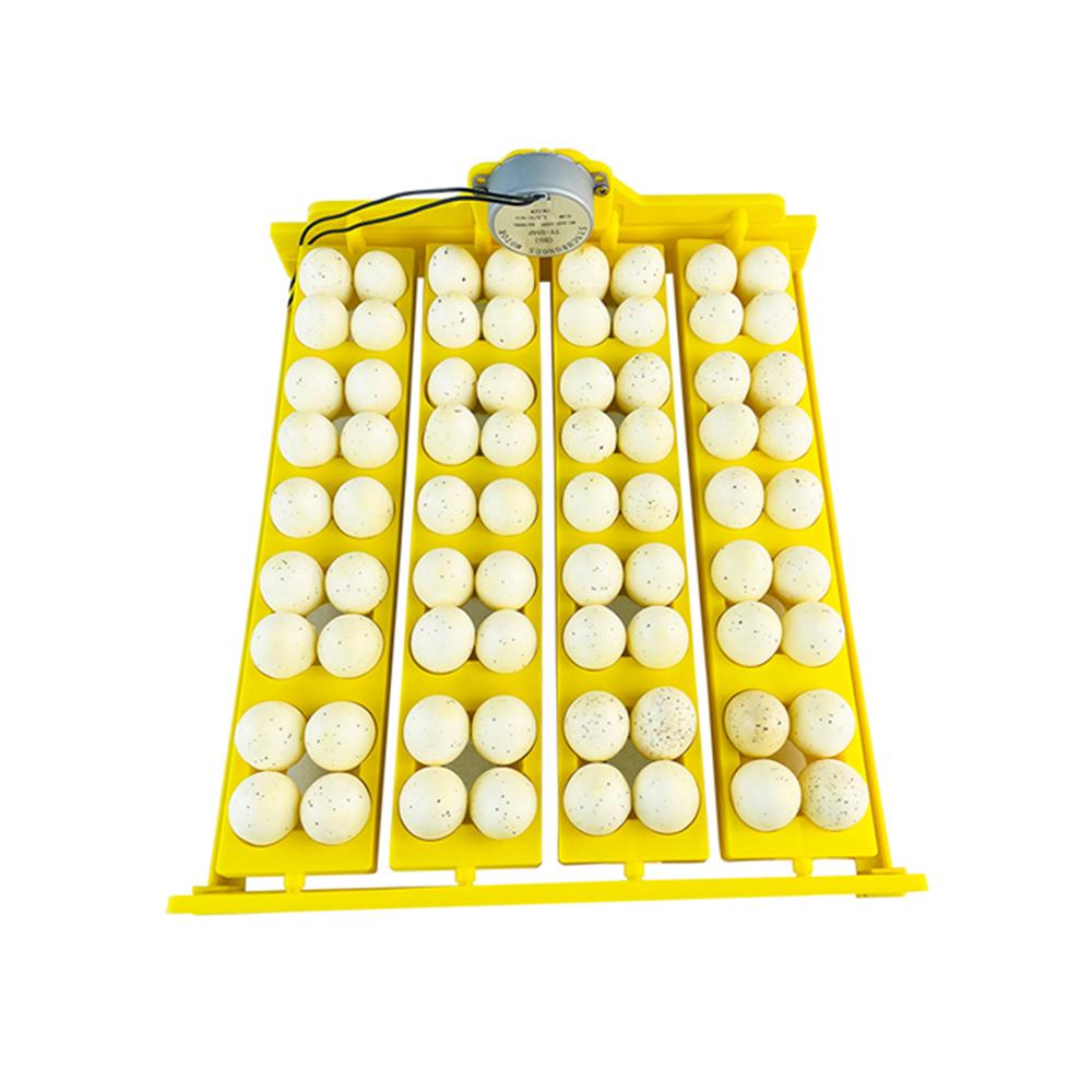 Multifunction 72 Eggs Plastic Egg Tray Automatic Turn Egg for Chicken Quail Incubator Brooder Accessory for Incubator