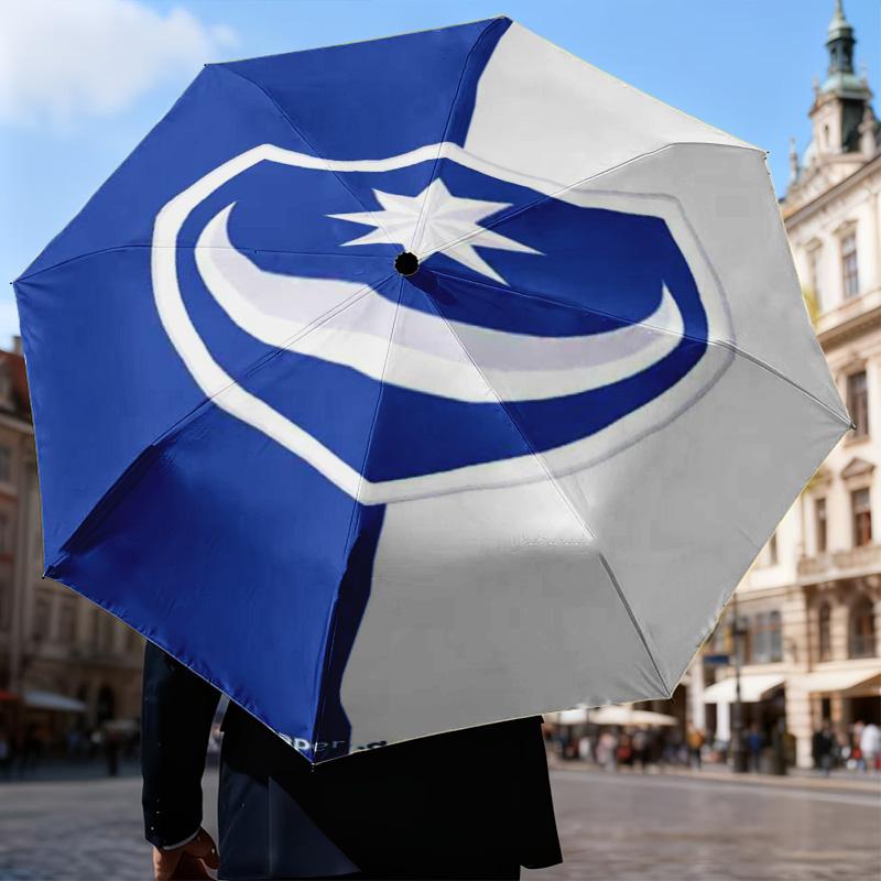 1 шт. Складной зонт-автомат с принтом ФК Портсмут, 8 спиц, для путешествий, кемпинга, вентилятор, подарки, рождественские подарки