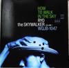 12-дюймовая пластинка RYO THE SKYWALKER How To Walk In The Sky Vol. 1 WQJB1047 А.К.А. Bounce 2000 Япония Регги Ска Даб Б/у