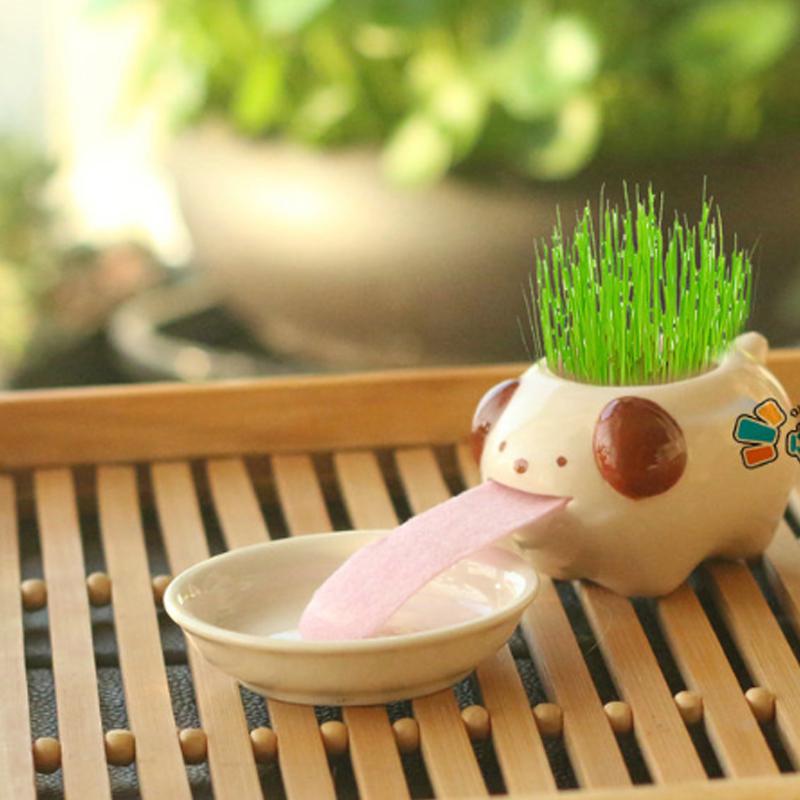 Мини-набор бонсай с животными, самополивающийся горшок, керамический перопон для выращивания, украшение для питья Tougue