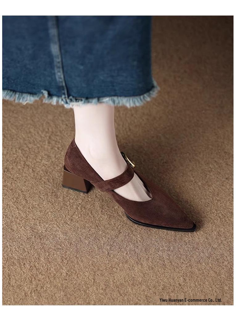 Французские ретро туфли Мэри Джейн на высоком каблуке - Изысканный стиль Весна/Осень 2025 для женщин с острым носком, идеально подходят к юбкам.