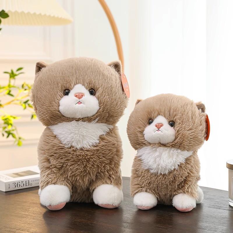 Plush Cat Toys Animal Stuffed Dolls Children Gifts Home Decorations Bedroom