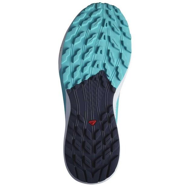 SALOMON Sense Ride 5 кроссовки трейловые