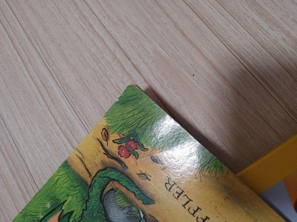 [USED] Foreign Books Picture Book Set: ZOG, Dinosaurs, etc.