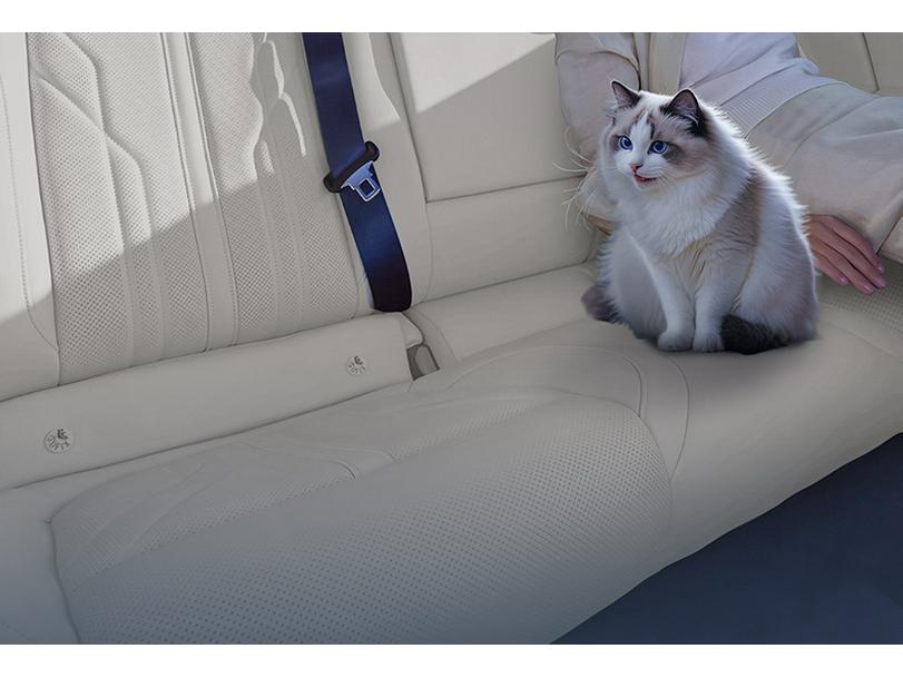 BYD N8L DM Headrest & Lumbar Support: Neck Pillow & Car Interior Decor