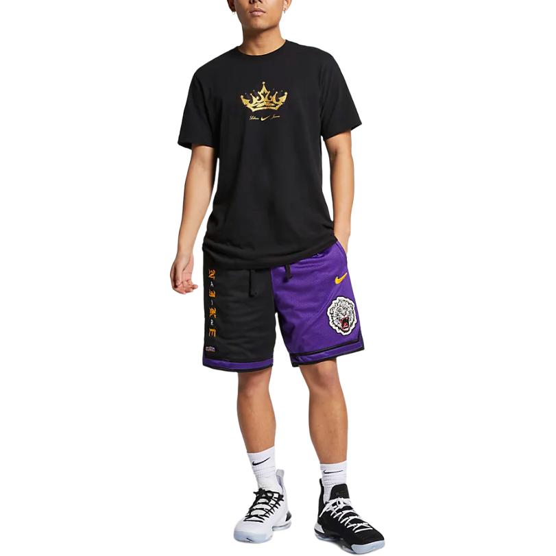 Nike Мужские баскетбольные шорты Atmos Lebron Dri-FIT DNA, разноцветные, CJ5921-010