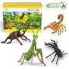 Collecta Insect Caption Box Set (4 Types) Figure Toy Model, Popular Toys In Korea