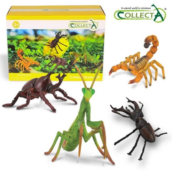 Collecta Insect Caption Box Set (4 Types) Figure Toy Model, Popular Toys In Korea