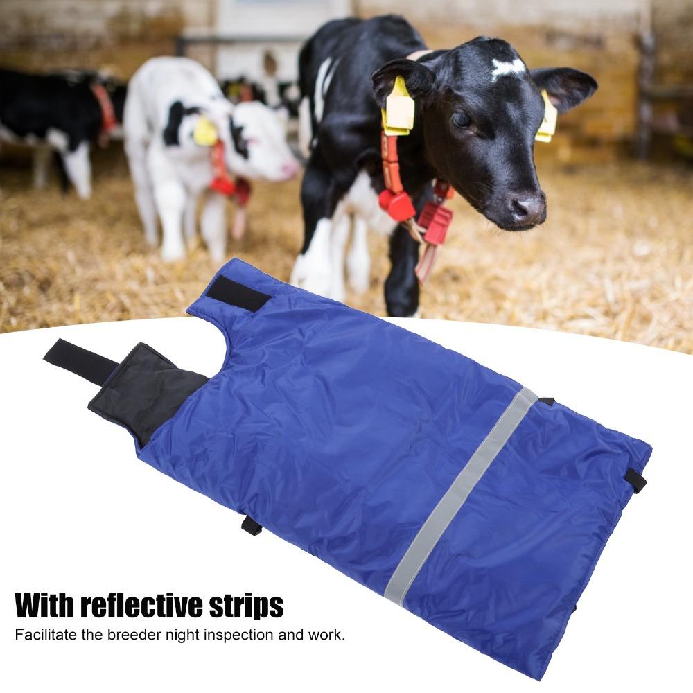 Oxford Fabric Calf Warm Coat Double-Breasted Buckles Calf Clothing Calf Warm Clothes  Livestock