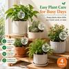 Self Watering Globes for Plants 6 Pack - 750ml Large Capacity Automatic Slow Release Plant Waterer Bulbs for Indoor Outdoor Potted Plants, Vacation P