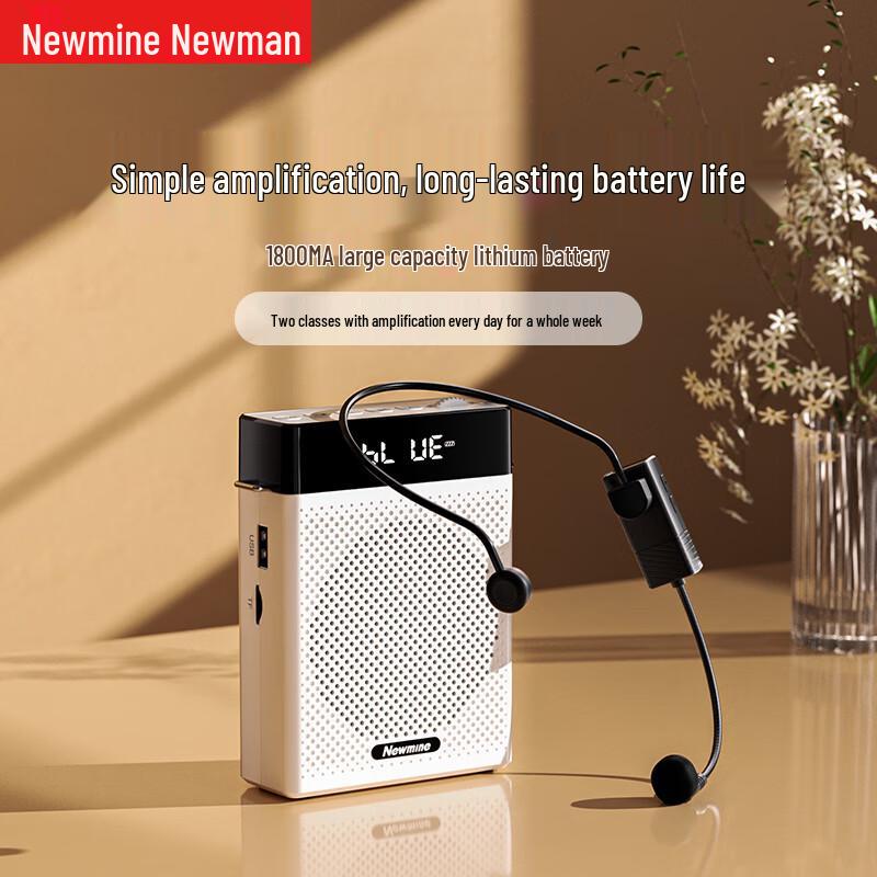 Портативный голосовой усилитель Newmine с Bluetooth, вилка CN (адаптер в комплекте)