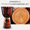 Djembe Ethnic Musical Instrument Toy Home Drum Percussion Sheep Skin Hand-Painted Pattern Bright Tone Suitable for Adults and Beginners Size 13 Black