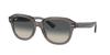 Sunglasses RB4398F ERIK Asian Fit [Ray-Ban]