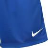 Nike Мужские футбольные брюки Королевский синий BV6852-463