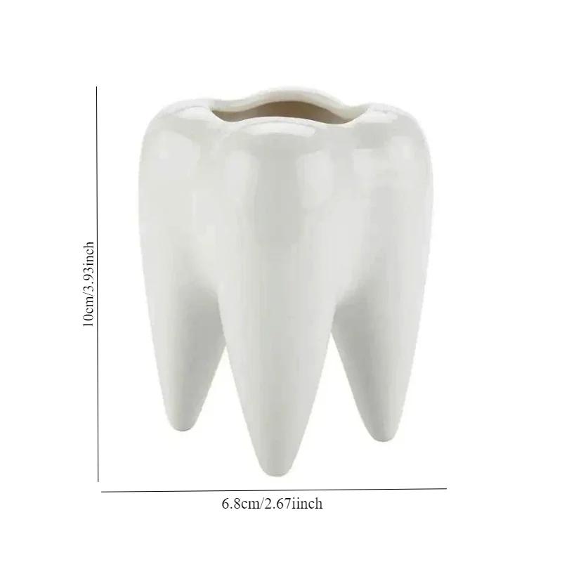 Суккулентное горшечное растение, чисто-белый керамический держатель для ручек, украшение для дома, цветочный горшок в форме зуба, трансграничный